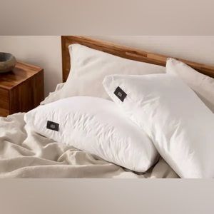 2-Silk & Snow Pillow King